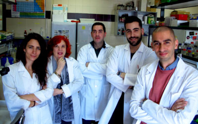 Un nuevo biofertilizante mejora la producción y calidad de las espinacas