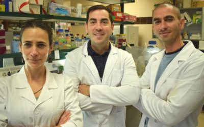 Un nuevo biofertilizante mejora las propiedades nutritivas de las fresas