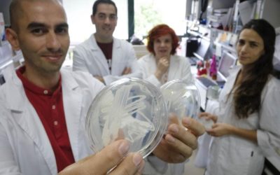Bacterias vivas para nutrir a la reina de la primavera