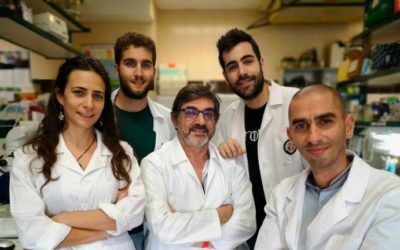 Investigadores salmantinos descubren una especie de bacteria con potencial agrícola y farmacéutico