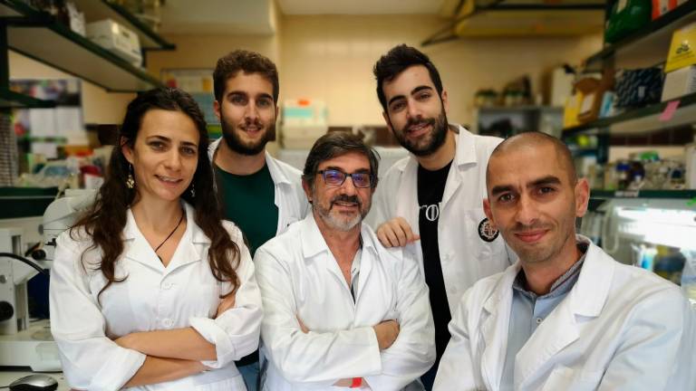 Investigadores salmantinos descubren una especie de bacteria con potencial agrícola y farmacéutico