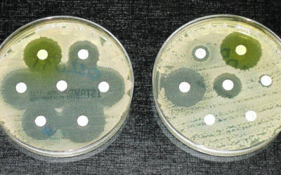 Superbacterias: un peligro real, presente y futuro