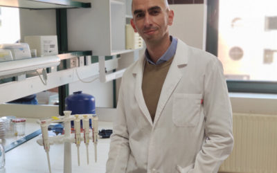 “Al virus solo lo derrotamos si la sociedad juega en equipo, sin fisuras”