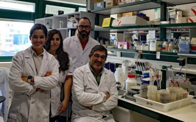 Ciencia desde Salamanca para investigar los microorganismos del proceso de curación del jamón ibérico de bellota